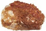 Ruby Red Vanadinite Crystals on Orange Barite - Morocco #196365-1